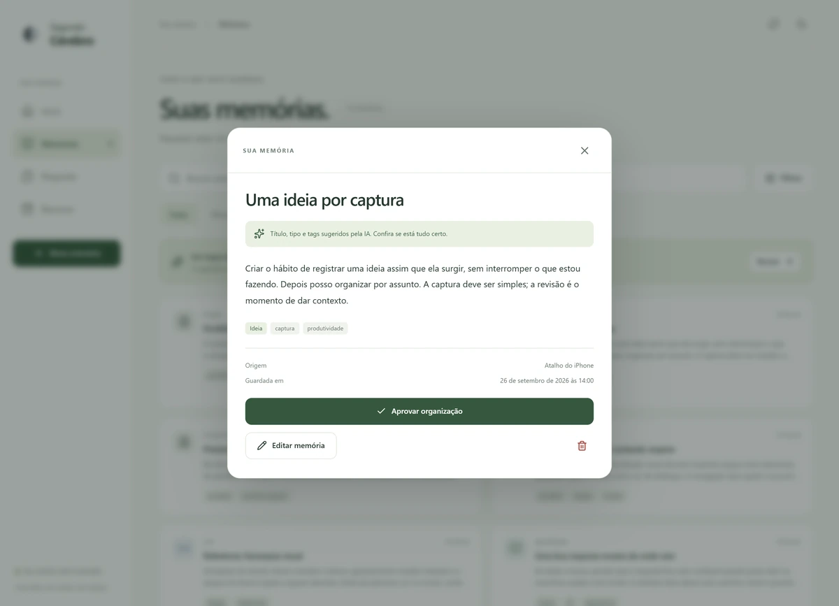 Janela “Sua memória” aberta sobre a biblioteca, com título, tipo e etiquetas sugeridos e o botão Aprovar organização.